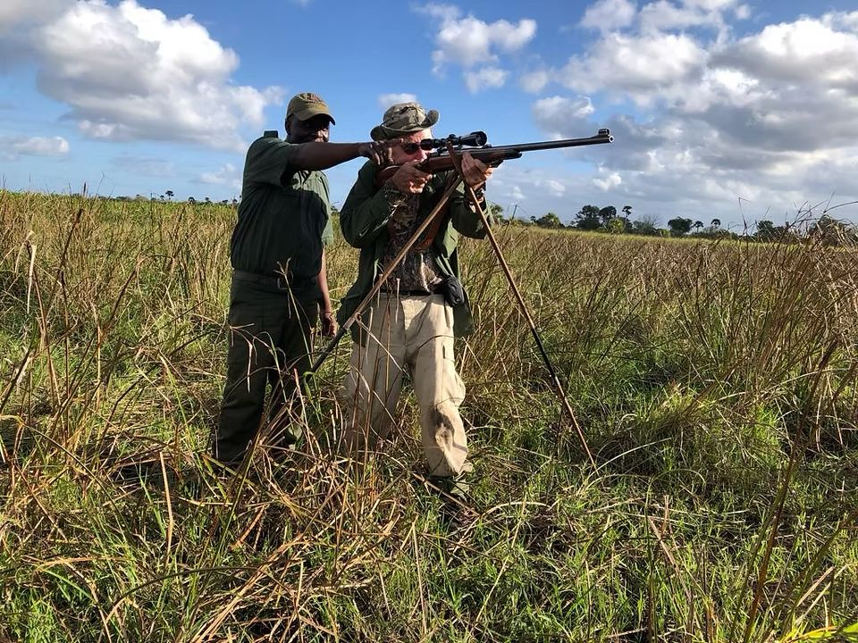 Hunter steadied on shooting sticks in Zambezi Delta grass with his professional hunter, Mozambique