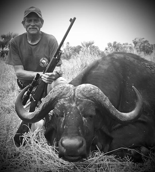 Scott Perkins with his dagga boy Cape buffalo taken with a Rigby rifle, Nhoro Safaris
