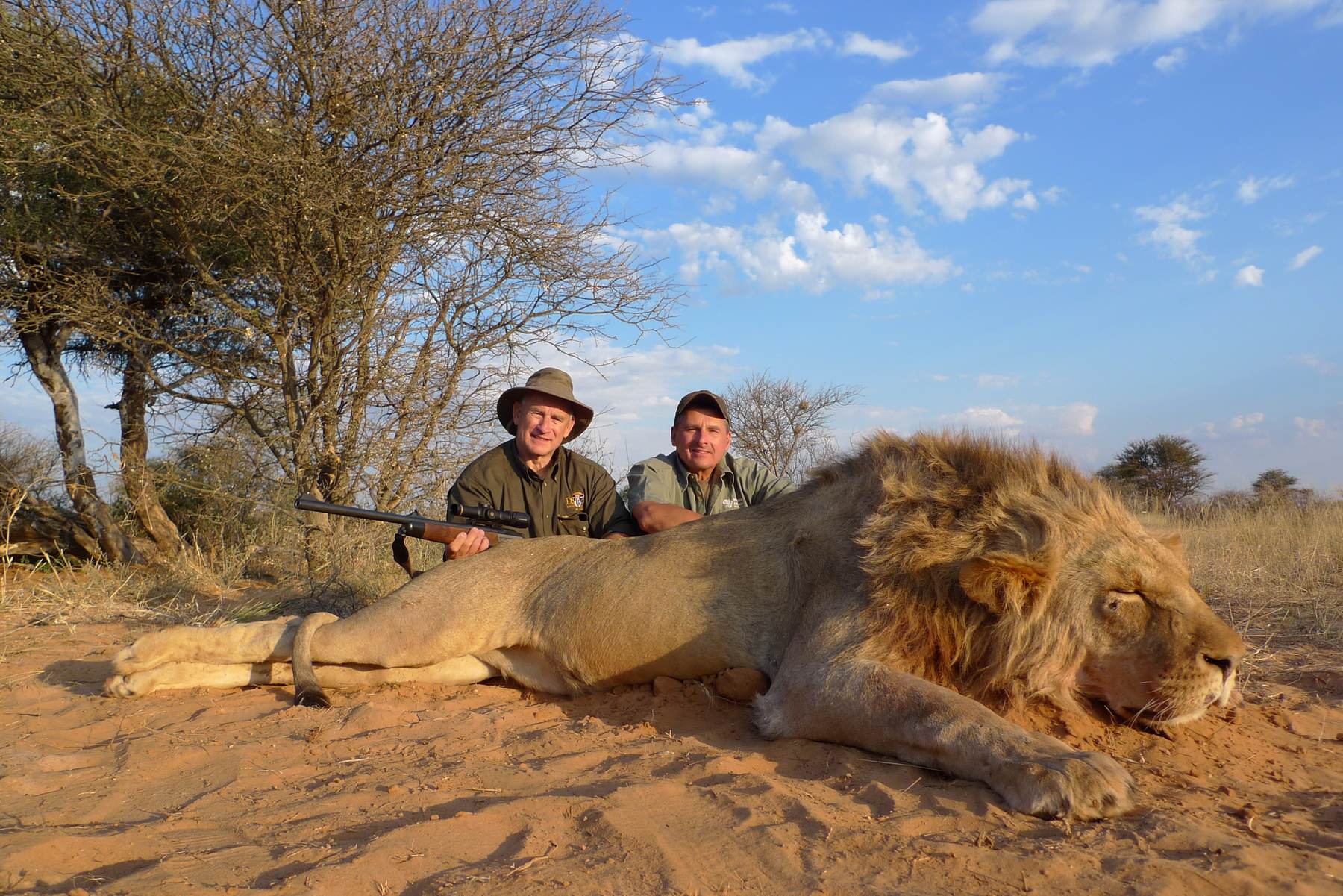Scott Perkins with his full-maned Kalahari lion, taken with Nhoro Safaris in 2013